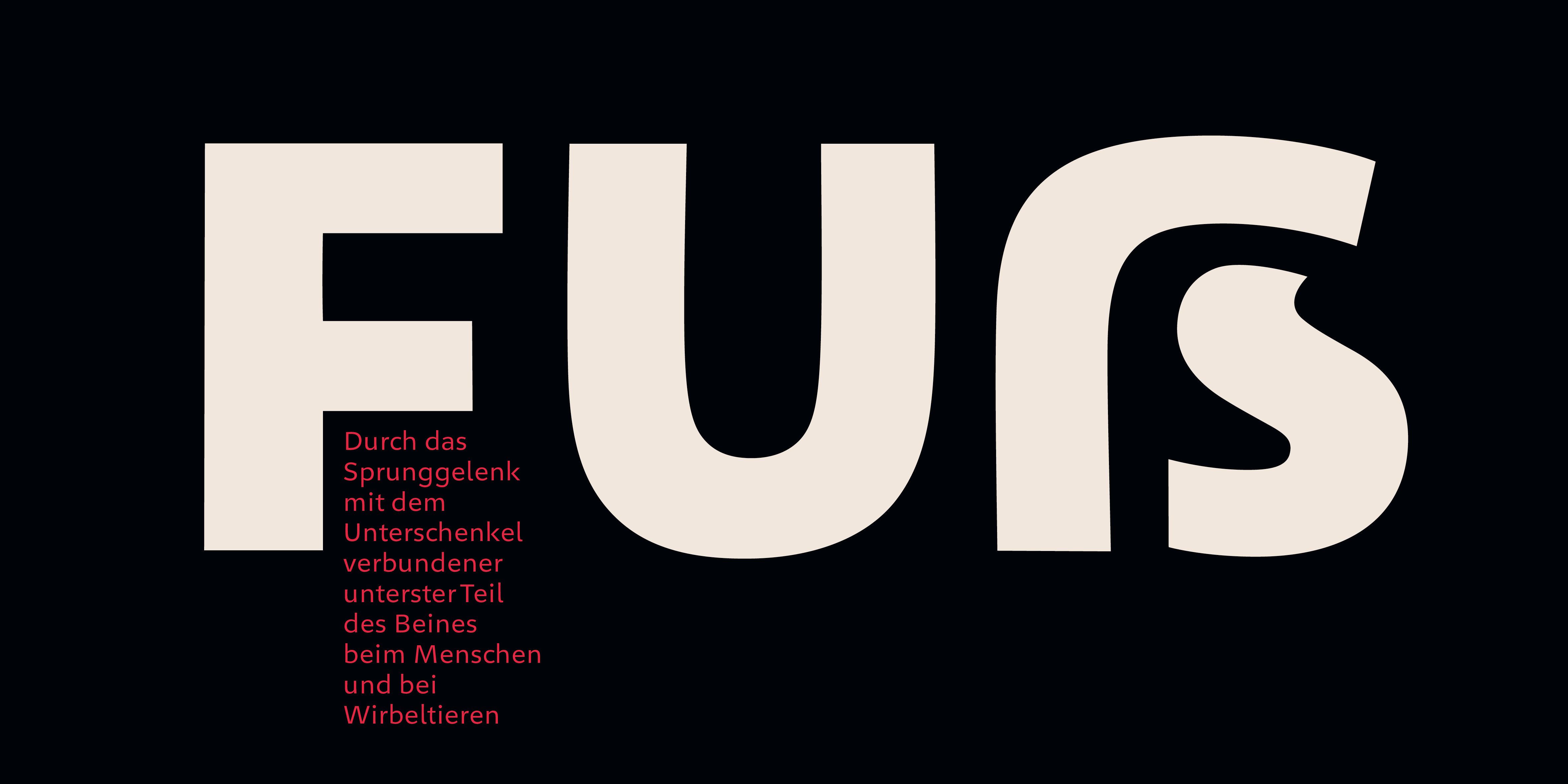 Poster: Typografische Umsetzung zeigt das Versal-Scharf-S